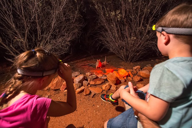 Alice Springs Desert Park Nocturnal Tour - What the $263 price means