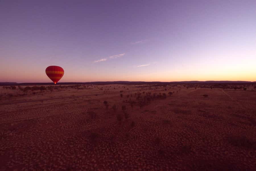 Alice Springs: Early Morning Hot Air Balloon Flight - Wildlife sightings depend on a quiet morning