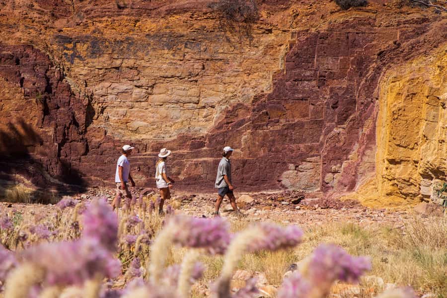 Alice Springs: West MacDonnell Ranges & Standley Chasm Tour - Ormiston Gorge: a fitting final highlight