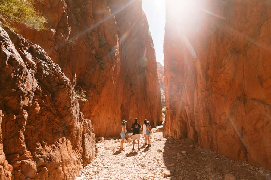 Alice Springs: West MacDonnell Ranges & Standley Chasm Tour - What the $138 price really covers