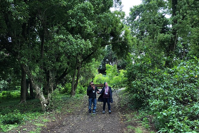 Alices Journeys Walking Tours of Daylesford 2.30pmFRI 11.30amSAT - What the 90-minute length means