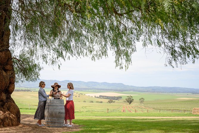 All Inclusive Barossa Valley Food and Wine Tour - Pindarie Winery starts with wine and morning tea