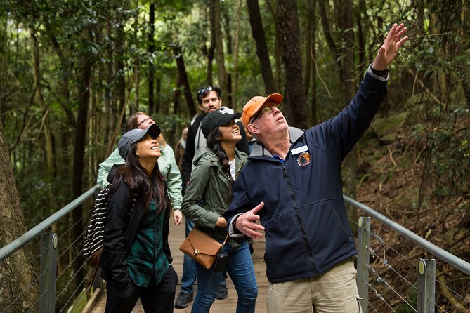 All Inclusive Blue Mountain,Scenic World,Lunch,Koalas,ferry - Starting with the Three Sisters in Katoomba