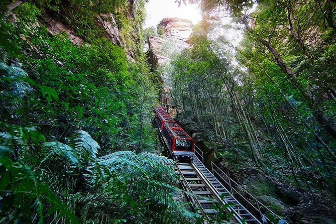 All Inclusive Blue Mountain,Scenic World,Lunch,Koalas,ferry - A useful lunch break in the Blue Mountains
