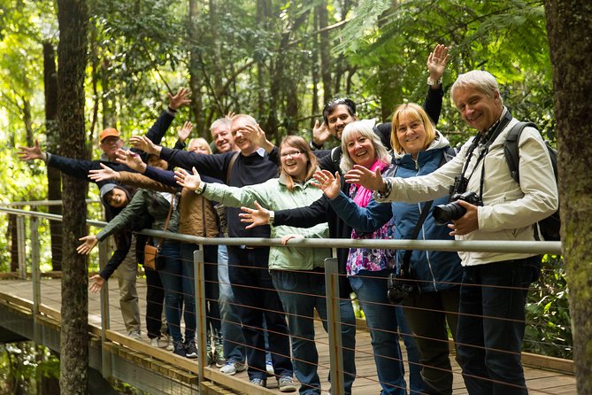 All Inclusive Blue Mountain,Scenic World,Lunch,Koalas,ferry - Scenic World: three rides and a rainforest boardwalk