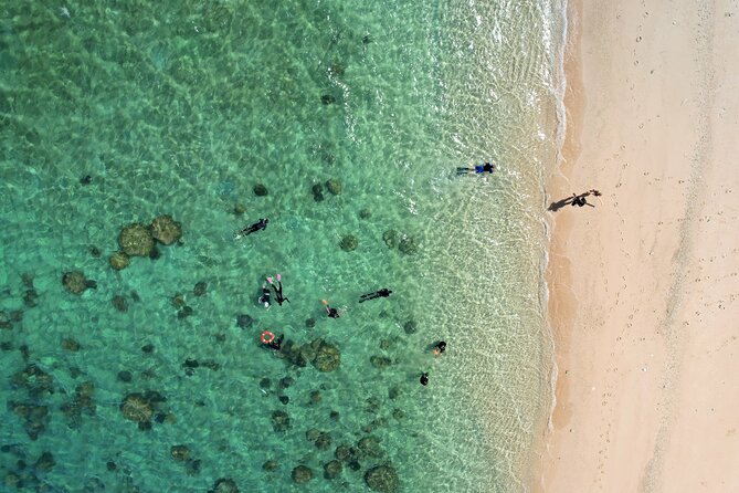 All Inclusive Day Tour to Frankland Islands Great Barrier Reef - The semi-submarine view for a dry look at the reef