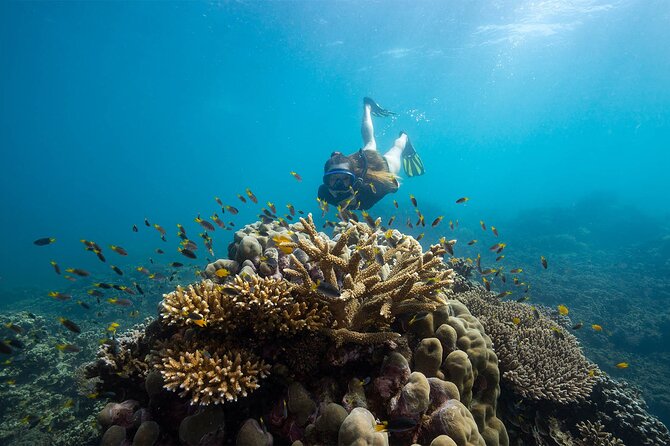 All Inclusive Day Tour to Frankland Islands Great Barrier Reef - Kayaks, paddleboards, and unhurried beach time