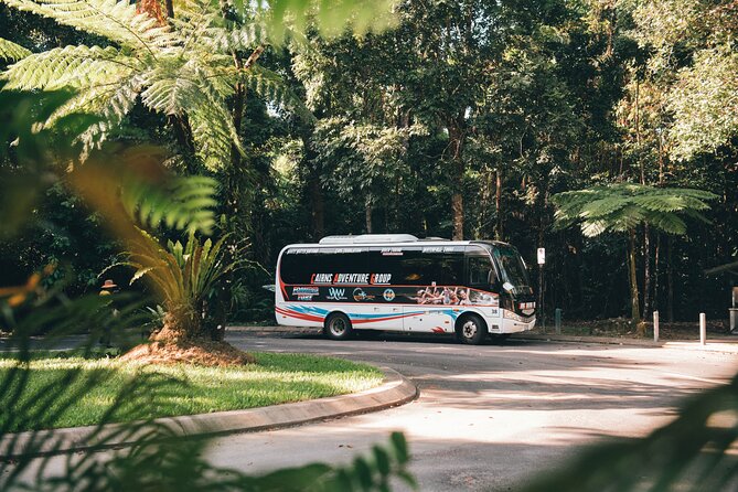 All Inclusive Waterfalls and Rainforest Tour from Cairns - Why this Cairns day trip works
