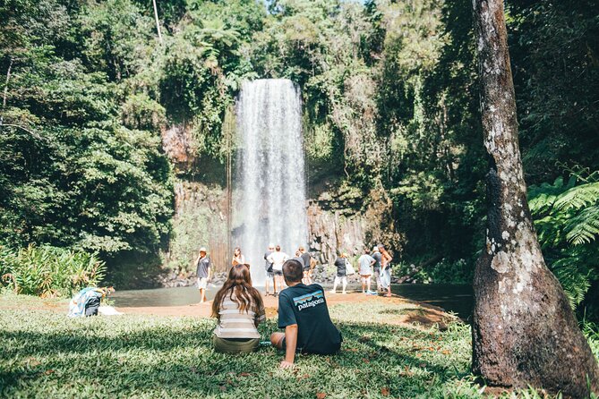 All Inclusive Waterfalls and Rainforest Tour from Cairns - Millaa Millaa Falls is the picture-perfect stop