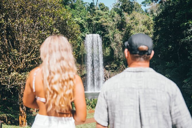 All Inclusive Waterfalls and Rainforest Tour from Cairns - Babinda Boulders and the day’s cultural beginning