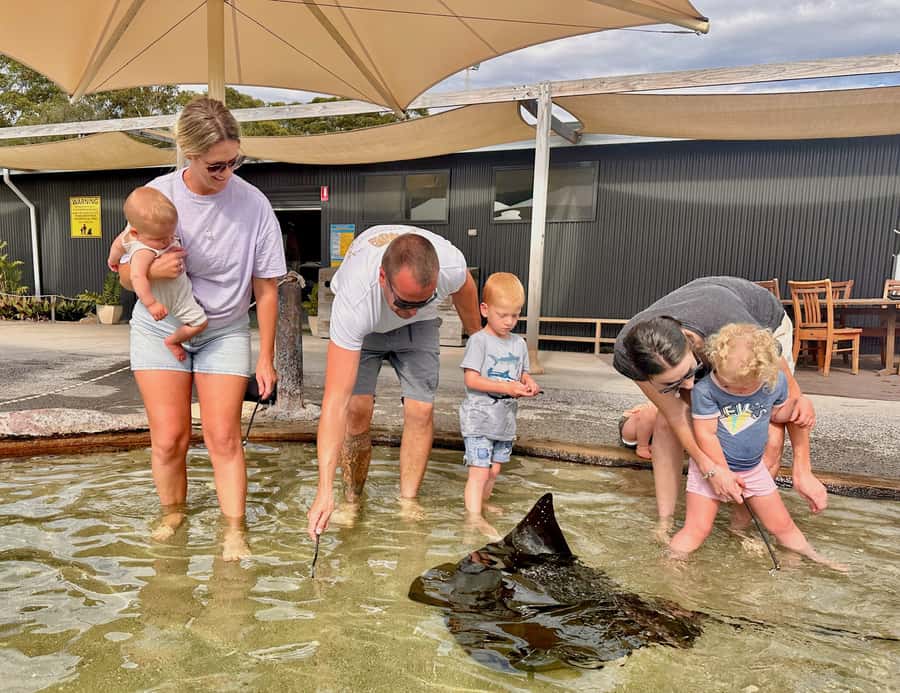 Anna Bay: Irukandji Entry Pass with Shallows Encounter - Fingill lagoon: rays at your feet