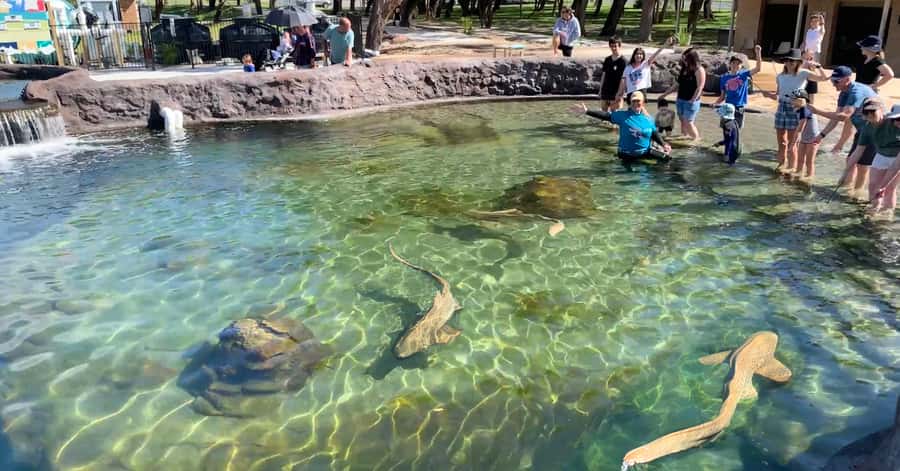 Anna Bay: Irukandji Entry Pass with Shallows Encounter - Who will enjoy this activity most?