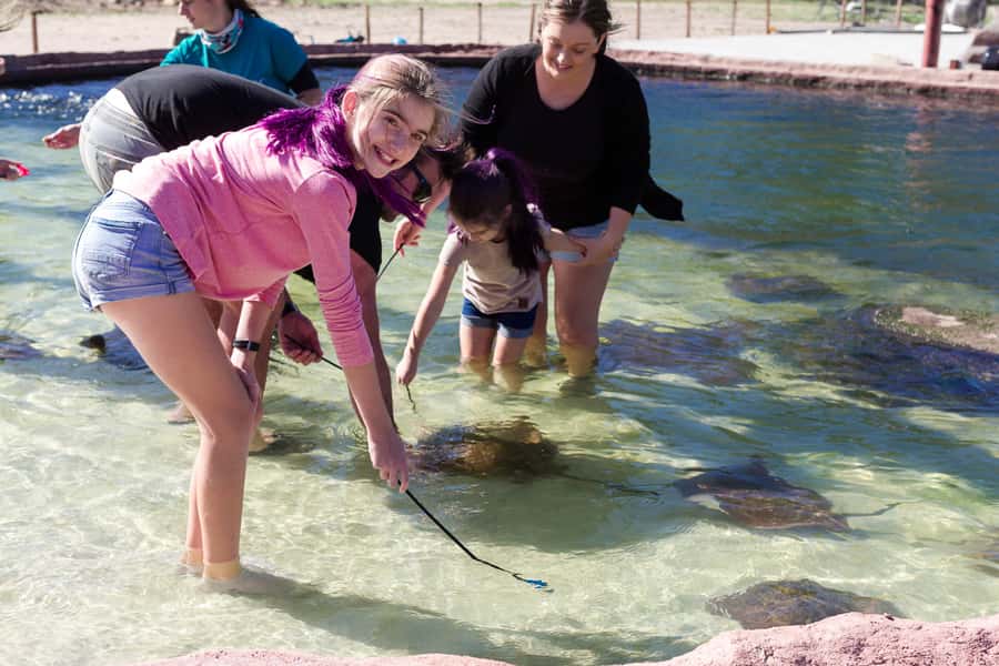 Anna Bay: Irukandji Entry Pass with Shallows Encounter - Getting started at the Anna Bay facility