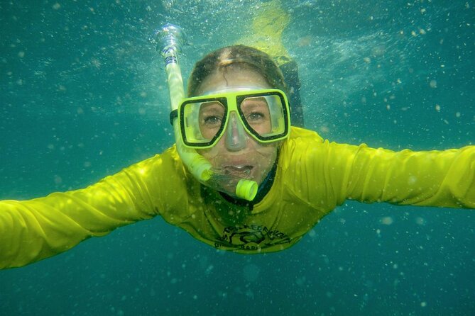Aquascene Circumnavigation Magnetic Island Tour - Making sense of the $114.04 price