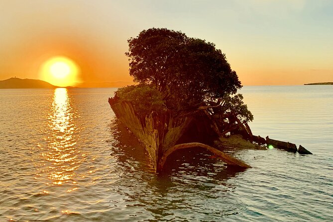 Aquascene Magnetic Island Sunset & Shipwreck Tour - Sunset, shipwreck, and island stories in one cruise
