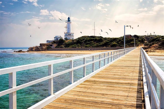 Around the Bay Sightseeing and Bay Cruise - A long but smart way to see beyond Melbourne