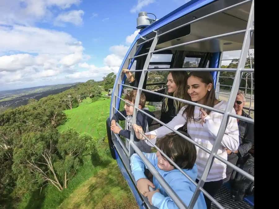 Arthurs Seat Eagle: Scenic Gondola Ride - Riding above Arthurs Seat State Park