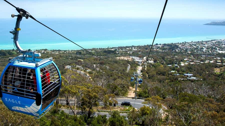 Arthurs Seat Eagle: Scenic Gondola Ride - Seawinds Gardens adds time to the visit