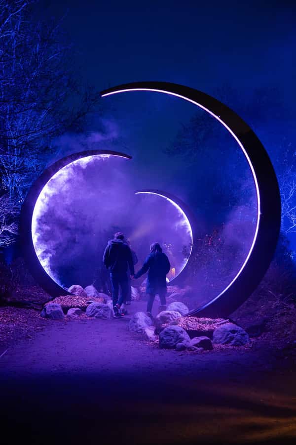 Astra Lumina Entry at Currumbin Wildlife Sanctuary - A cosmic night begins in Currumbin bushland