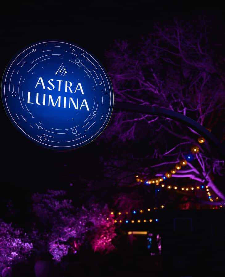 Astra Lumina Entry at Currumbin Wildlife Sanctuary - A gentle walk, but not a completely flat one
