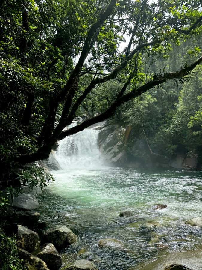 Atherton Tablelands: Lakes, Waterfalls, Rainforest Day Tour - Milla Milla Falls and the classic waterfall photo