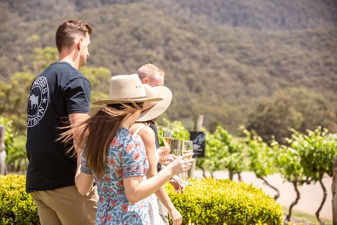 Audrey Wilkinson Vineyard: Picnic with Wine Masterclass Tasting - A few cautions before you book