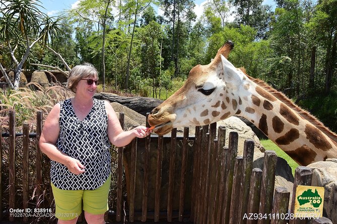 Australia Zoo Day Trip from Brisbane - Making five hours count inside the zoo