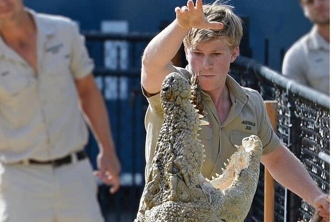 Australia Zoo Day Trip from Brisbane - The Crocoseum show and other timed highlights