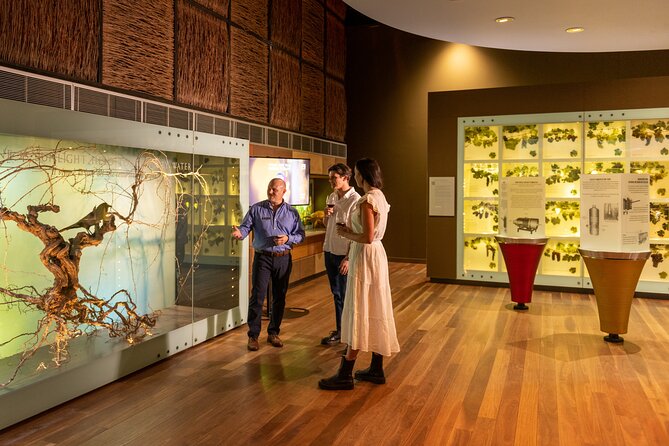 Australian Wine Discovery Tour Ticket - Inside the National Wine Centre at 11:00 am