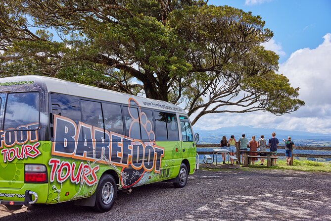 Barefoot Atherton Tablelands Adventure by Cairns Waterfalls - Cathedral Fig Tree is a quick but memorable stop
