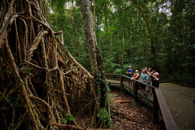 Barefoot Atherton Tablelands Adventure by Cairns Waterfalls - Josephine Falls brings the natural slide