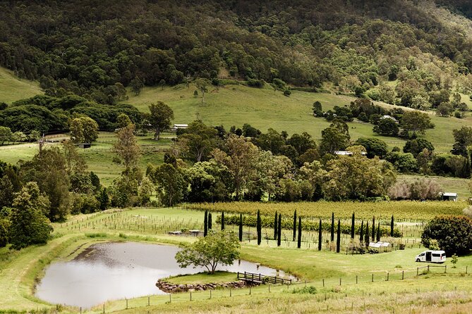 Barefoot Luxury Mount Tamborine Winery Tour from Brisbane - Why this Mount Tamborine day works well from Brisbane