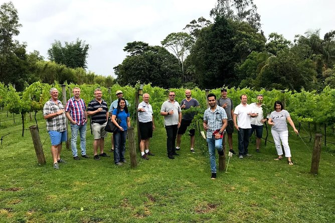 Barefoot Luxury Mount Tamborine Winery Tour from Brisbane - Lunch with mountain views