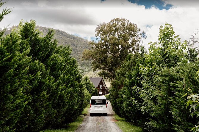 Barefoot Luxury Mount Tamborine Winery Tour from Brisbane - Witches Falls and the first taste of mountain wine