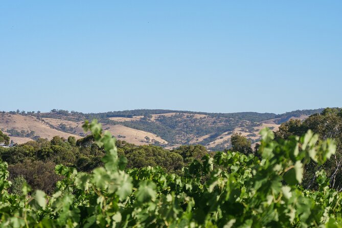 Barossa Bespoke Tours-A private, wine tour to the Barossa Valley - A private Barossa day built around your palate