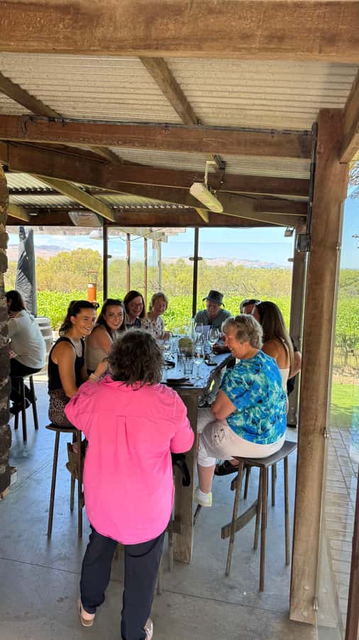 "Barossa Tour from Adelaide: 4 Tastings & Lunch Included" - Who should book this Barossa day trip?