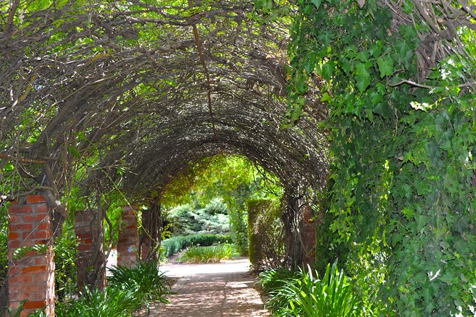 Barossa Valley Cellar Door Small Group Tour - Why this works better than driving yourself