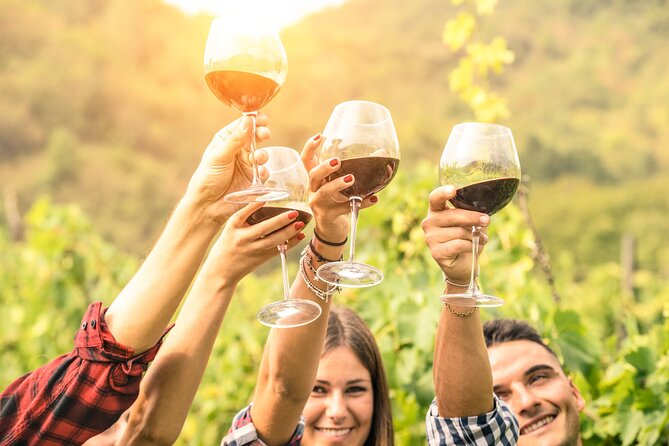 Barossa Valley Cellar Door Small Group Tour - Ubertas Wines for a family-scale tasting