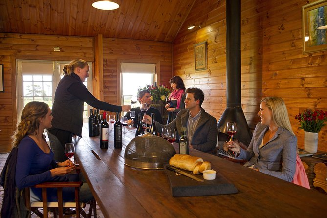 Barossa Valley Hop-On Hop-Off Wine Tour - Choosing between major names and small producers