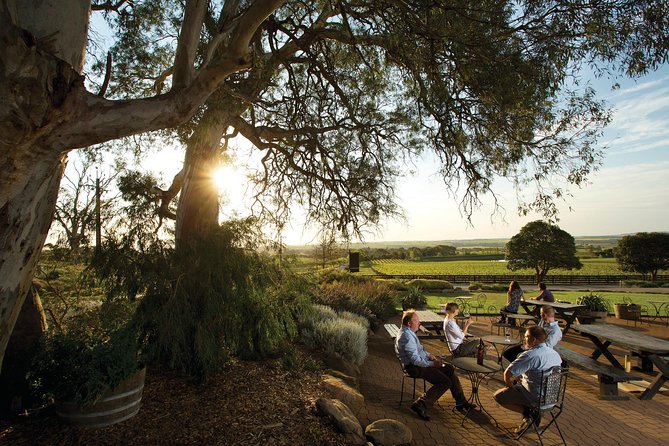 Barossa Valley Hop-On Hop-Off Wine Tour - Who will enjoy this tour most