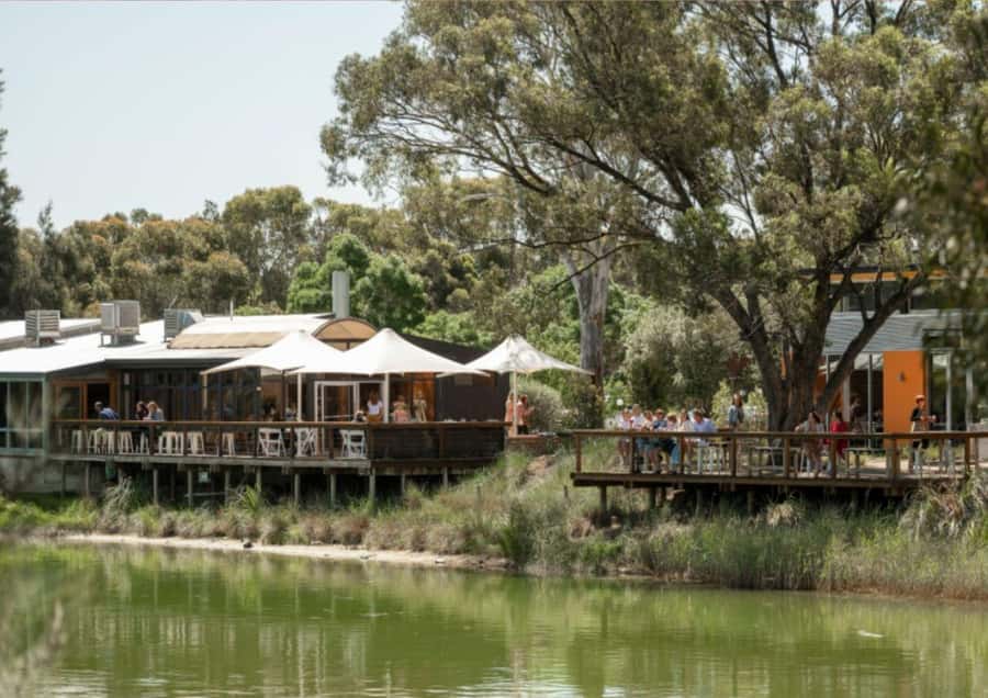 Barossa Valley: Maggie Beer's Wine Tasting & Cheese Platter - Arriving at the farmshop