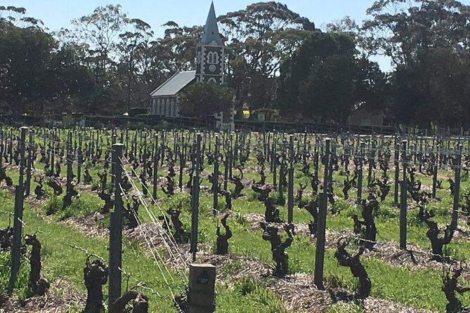 Barossa Valley Private Luxury Tour Full Day - Choosing between major names and small producers