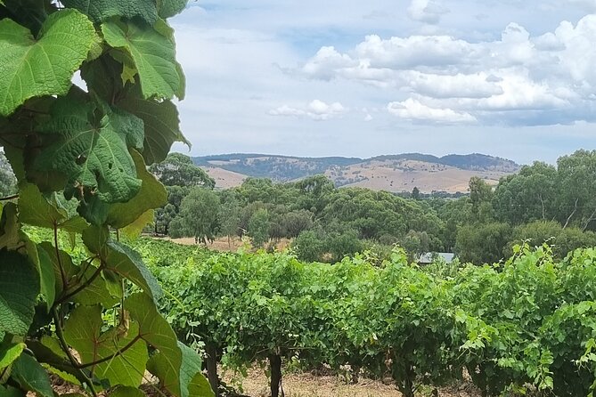 Barossa Valley Shared Tour with Wine Tasting and Lunch - What the $163.53 price includes