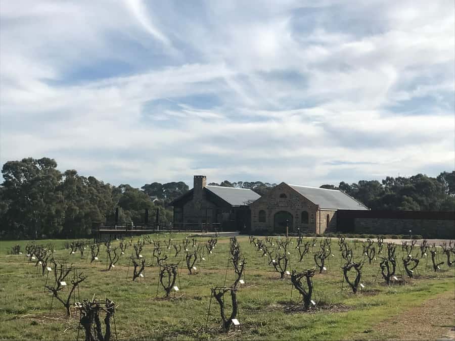 Barossa Valley: Small Group Wine Tour (Includes Lunch) - From Adelaide to the first cellar door