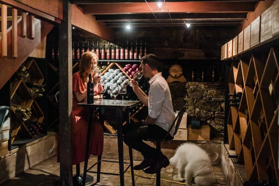 Barossa Valley: Taste & Graze Food and Wine Trail - What the high ratings tell you about the format
