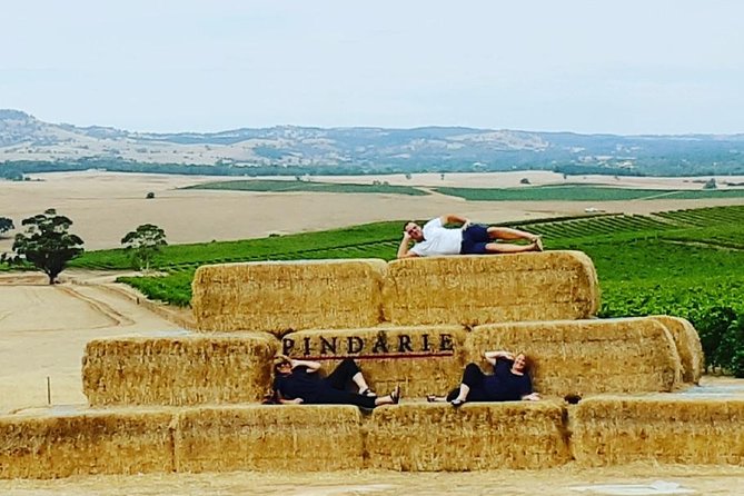 Barossa Wine Tasting shared tours - Why the guide matters so much