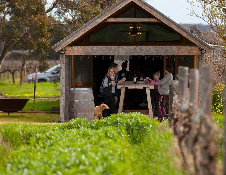 Barossa Wine Tour: Small Group 8 max, Rare, Unique, Premium - Door-to-door pickup from Adelaide or the Barossa