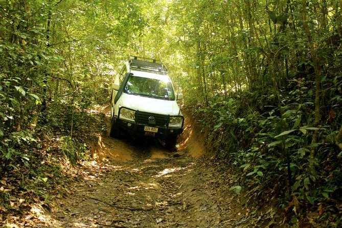 Barron Gorge and Kuranda National Park Half Day Rainforest and Waterfall 4WD Tour from Cairns - Barron Falls: a famous view with changing power