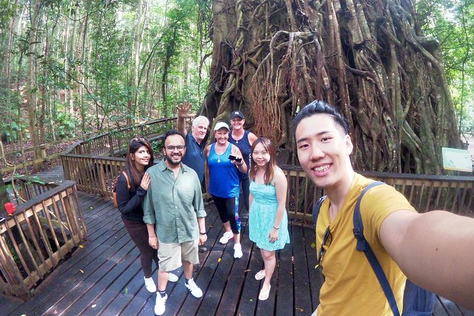 Barron Gorge and Kuranda National Park Half Day Rainforest and Waterfall 4WD Tour from Cairns - Davies Creek: the best chance to cool off