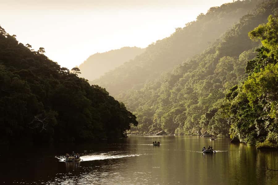 Barron Gorge: Half-Day Barron River White-Water Rafting - The rainforest setting is part of the value